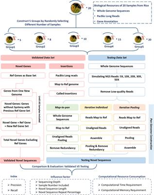 A comprehensive evaluation of the potential of three next-generation short-read-based plant pan-genome construction strategies for the identification of novel non-reference sequence